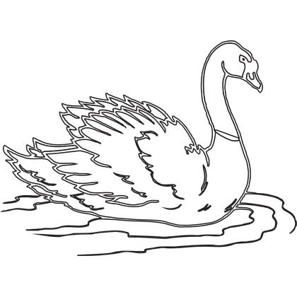 Artwork option AN 03