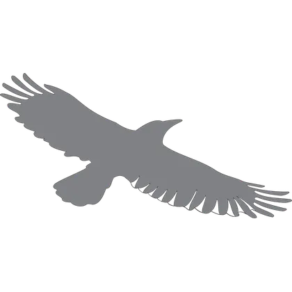 Artwork option AN 07