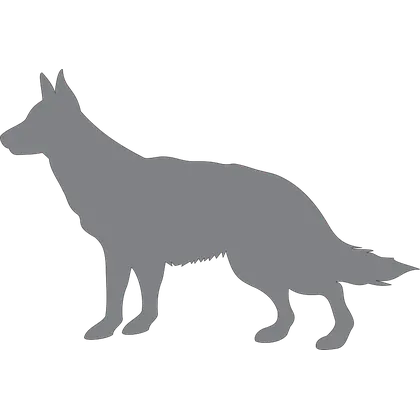 Artwork option AN 10