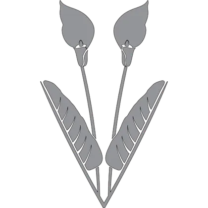 Artwork option F 15